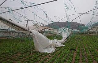 Şiddetli fırtınada seralar adeta yerle bir oldu