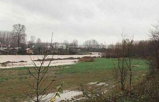 Şiddetli yağış dereleri taşma noktasına getirdi,...