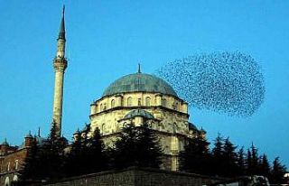 Sığırcık sürüsü ezan sesi ile mest etti