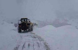 Siirt’te kar yolları kapattı