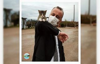 Sinop Belediyesi’nden ’sokak hayvanları’ açıklaması