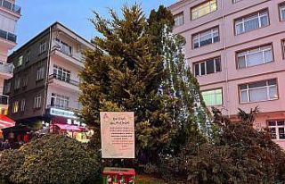 Sinoplu çocukların dilekleri gerçek olacak