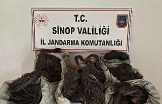Sinop’ta kablo hırsızlığı operasyonu: 3 gözaltı