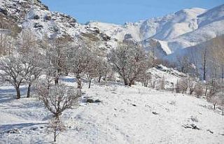 Şırnak’ta termometreler eksi 21 dereceyi gösterdi,...