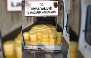 Sivas’ta 2 tona yakın kaçak kaşar ele geçirildi