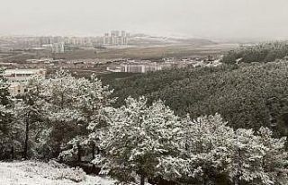 Sivas’ta mevsimin ilk karı düştü
