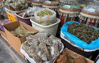 Soğuk havanın ’ilacı’ bitki çayları