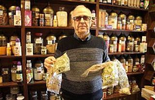 Soğuk havayı gören ıhlamura sarıldı