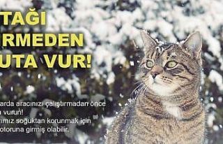 Soğuktan korunmak için girdiği aracın bagajına...