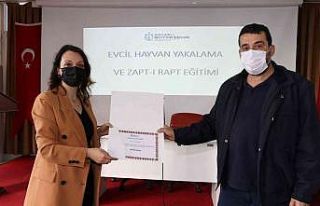 Sokak hayvanlarını yakalama ve toplama eğitimi