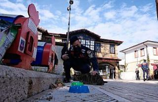 Sokak kedileri jandarma korumasında