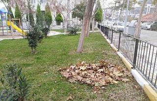 Soma’da park ve bahçelerin kışlık bakımları...