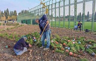Spor adası Karacabey’e değer katacak