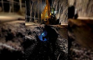 Su giderine düşen köpek kurtarıldı