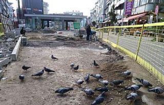 Subaşı’nın güvercinleri Hamidiye Çeşmesi’ni...