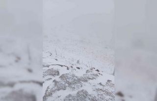 Şuhut’ta kar yağışı yüksek kesimleri beyaza...