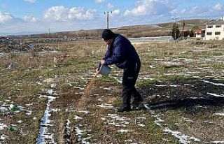 Sungurlu’da sokak hayvanları unutulmadı