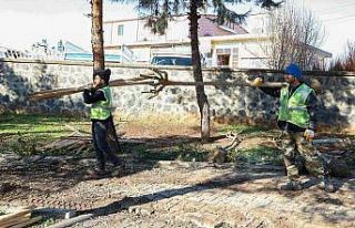 Süryani Kadim Mezarlığı ağaçlandırıldı
