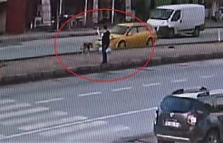 Taksi köpeğe böyle çarptı, o anları gören kadın...