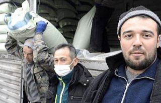 Tavşanlı’da buğday üretimine destek