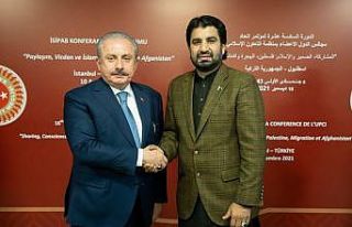 TBMM Başkanı Şentop, Pakistan Ulusal Meclis Başkan...