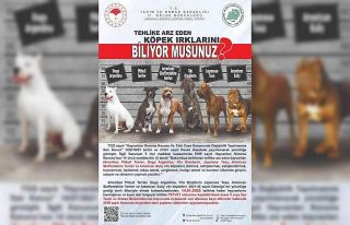 Tehlike arz eden köpek ırklarında kayıtlar için...
