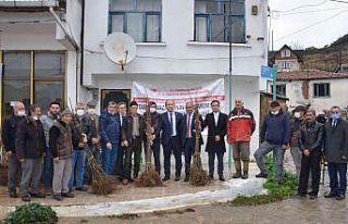 Tekirdağ’da 700 kestane fidanı dağıtıldı