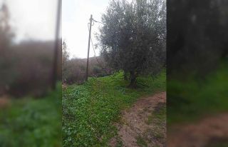 Telefon ve elektrik tellerini kesen hırsızlar jandarmaya...