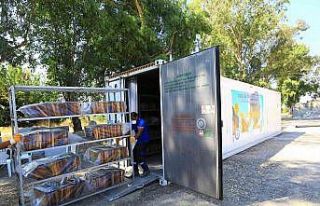 ‘Temiz petek projesi’ arıcıların yüzünü...