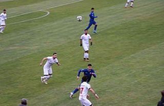 TFF 2. Lig: Vanspor FK: 2 - Ankaraspor: 2