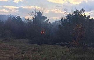 Tokat’ta orman yangını, bölgeye itfaiye ekipleri...