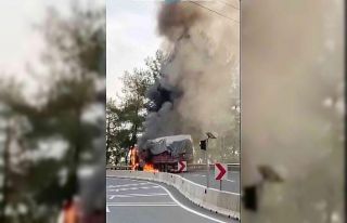 Tomruk yüklü TIR alev alev yandı
