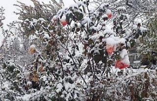 Toroslar beyaza büründü