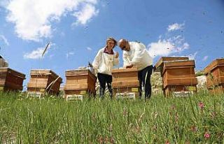 Torosların balı Avrupa yolunda