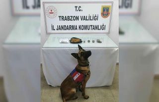 Trabzon’da uyuşturucu operasyonu