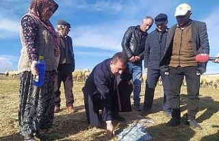 TÜDKİYEB Başkanı Çelik, ‘fahiş fiyat’ uygulanmasına...