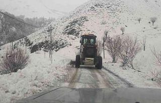 Tunceli’de karla mücadele çalışmaları sürüyor