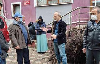 Türkeli’de 7 bin 500 ceviz fidanı dağıtıldı