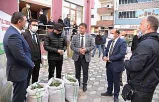 Türkeli’de salep fidesi ve yonca tohumu dağıtıldı