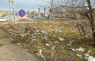 Türkgözü Sınır Kapısı çöp alanına döndü