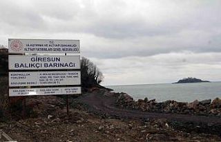 Türkiye’nin en büyük balıkçı barınağının...