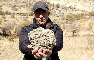 Tut’ta 10 kilo ağırlığında 65 milyon yıllık...