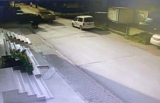 Ümraniye’de aşırı hız dehşeti: Kamyoneti önüne...