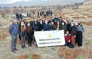Üniversite öğrencileri fidan dikti