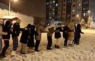 Üniversite öğrencileri penguen dansı ile karın...