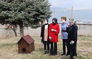 Üniversite öğrencisi istedi, onların da bir yuvası...