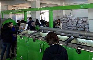 Üniversiteli gencler zeytinyağı üretimini yakından...