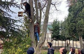 Üniversiteliler kuşları bu kış aç bırakmayacak