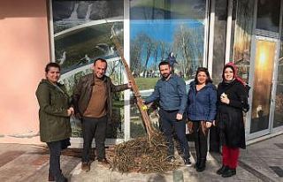 Üreticilere cennet meyvesi desteği