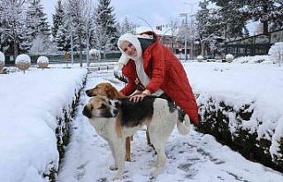 Üşüyen sokak köpeğine mağazadan aldığı kazağı...